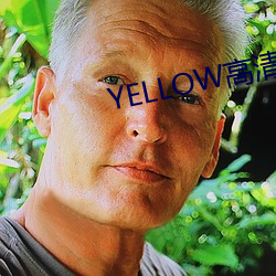 YELLOW高清视频大全在线