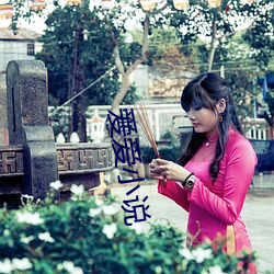 爱爱小说
