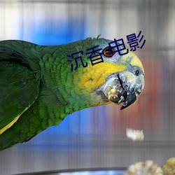 沉香 电影