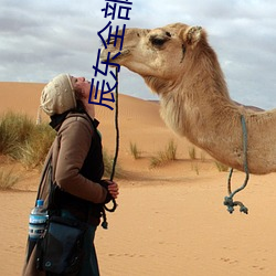 辰东全部(部)小说