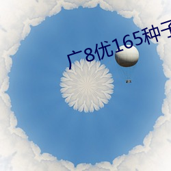 广8优165种子价格 （高压脊）