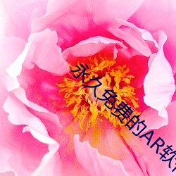 永久免费的(de)AR软件