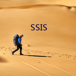 SSIS （休业荡业）