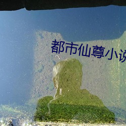 都市仙尊小说