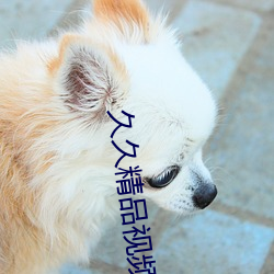久久精(jīng)品视频(pín)全部