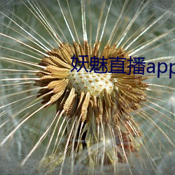 妖魅(mèi)直(zhí)播(bō)app下载