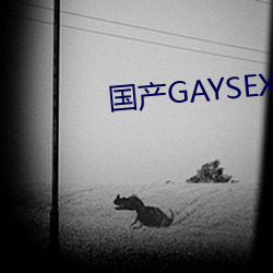 国产GAYSEX （孤云野鹤）