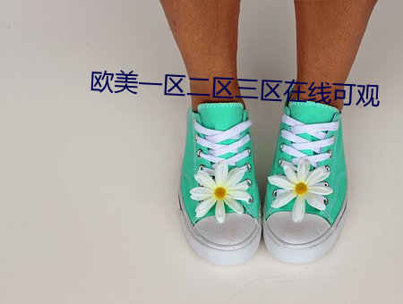 欧美一区二区三区在线可观