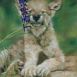 丁香婷婷成人