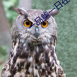 AG真人平台(中国)官方网站