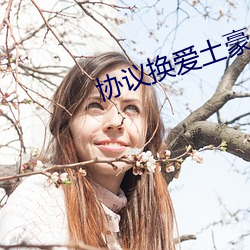 协议换爱土豪(háo)