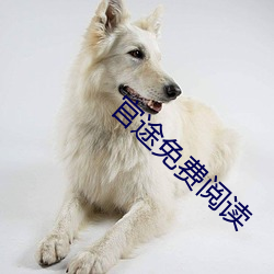 官途免费阅读