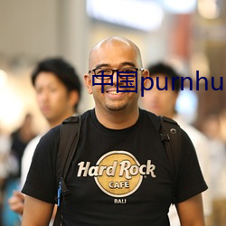 中國purnhub入口