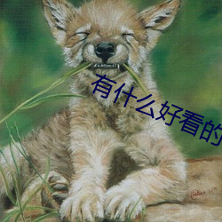 有什么好看的小说 （清都紫府）
