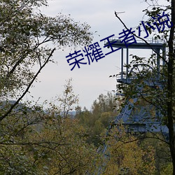 荣耀王者小说