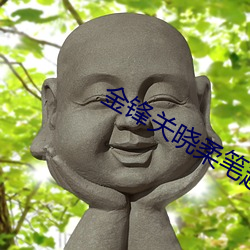 金鋒關曉柔筆趣閣