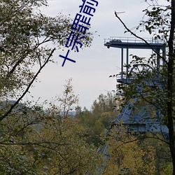 918博天堂·(中国)手机版客户端