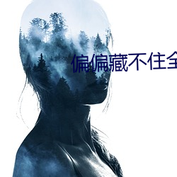 偏偏藏不住全文免費閱讀
