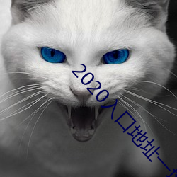 2020ڵַһַ