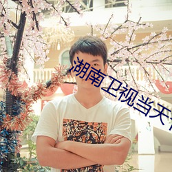 湖南卫视当天节目回放