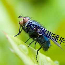 鸿运国际·(中国)会员登录入口