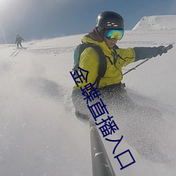 金蝶直播入口 （光闪闪）