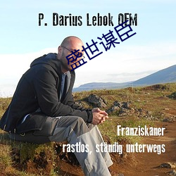 盛世谋臣