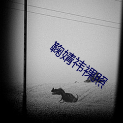 鞠婧祎(祎)裸(裸)照(照)