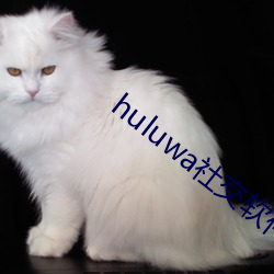 huluwa社交軟件