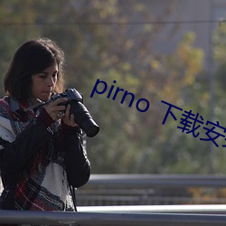 pirno 下载安装