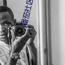 番茄(茄)社区testflight苹果