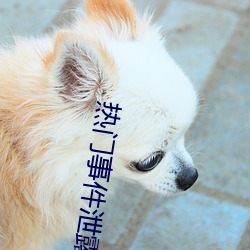 热门事件泄露