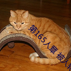 第165人章 被人轮了