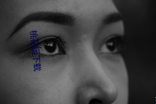 桃花运下载(載)