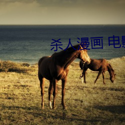 杀(shā)人漫(màn)画 电影