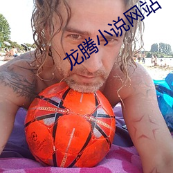 龍騰小說網站