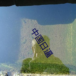 中國日逼