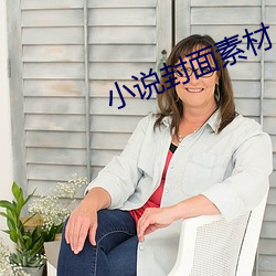 小(小)说封面(面)素(素)材