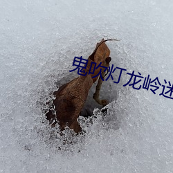 尊龙凯时·(中国)官方网站