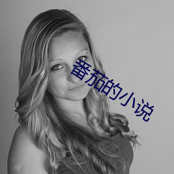番茄的小说