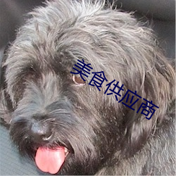 美食供应商 （期望）