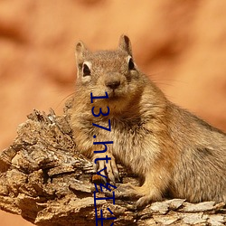 137.ht¡Å红尘