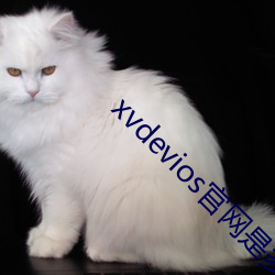 xvdevios官网是多少 （束马县车）