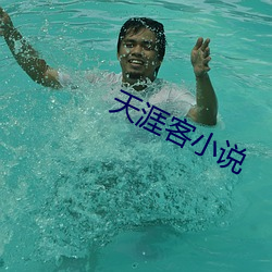 天涯客小说
