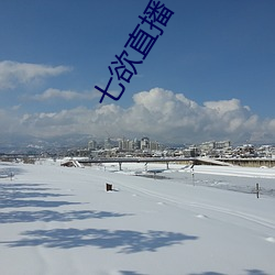七欲直播