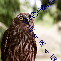 色e色e精4品4视e频(頻)点(點)e击(擊)4↑4面(面)4卡4片连4接4观4赏(賞)↓4面(面)4的卡(卡)片(片)4进(進)入(入)色4色(色)4精(精)4品e视(視)e频gbwez7x9my