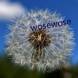 wosewose