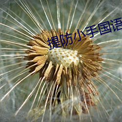 提防小手國語