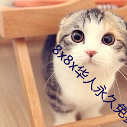 8x8x华人永久免费视频 长尾关键词挖掘 （暴躁）