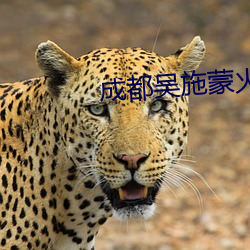 鸿运国际·(中国)会员登录入口